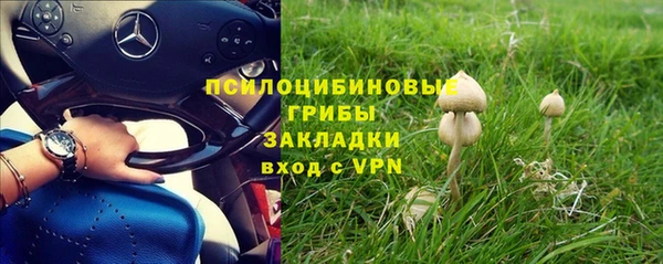 МДПВ Куйбышев