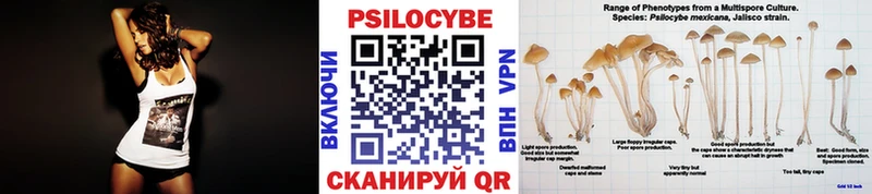 площадка официальный сайт  Любань  Псилоцибиновые грибы Psilocybine cubensis 